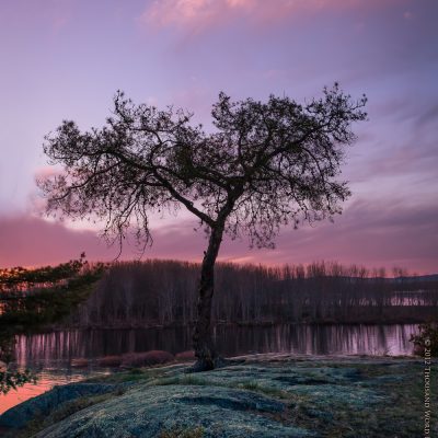 © 2012 Thousand Word Images by Dustin AbbottThe setting of this tree fascinates me.  It grows out of what appears to be bare rock and sits as a sentinel overlooking where two rivers meet.  It was a tough lighting situation as the sun was setting behind the tree, but although this was a single RAW exposure, Lightroom 4 has amazing new capabilities for controlling hightlights and shadows.  I was able to bring the sky (highlights) down to an appropriate level and bring the foreground (shadows) to where I wanted.  The result, I believe, is pretty lovely :)Technical info: Canon EOS 5DMK2, Canon EF 17-40mm f/4L , Hoya Circular Polarizer, Processed in Adobe Lightrom 4 and Adobe Photoshop CS5Facebook   Fan Page | 500px Gallery | Order Fine Art prints  | Fluidr Thousand Word Images |  iStock