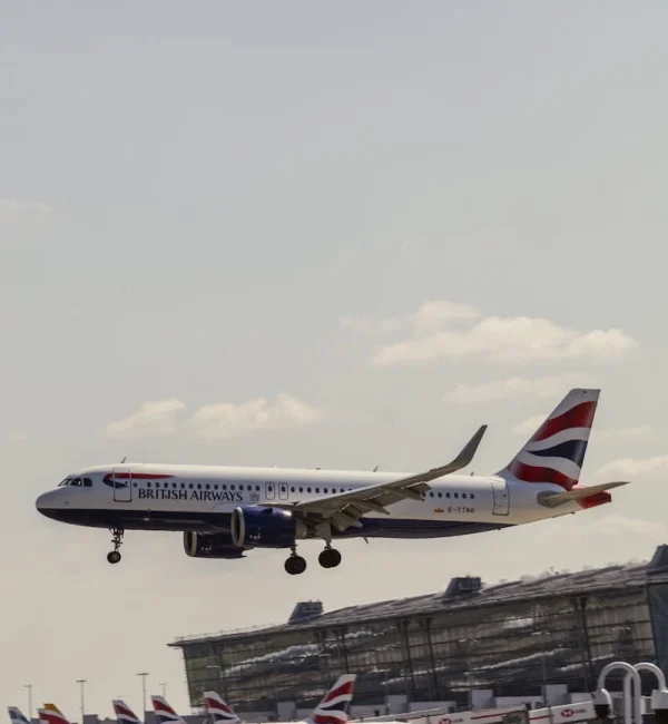 pexels-photo-32306159